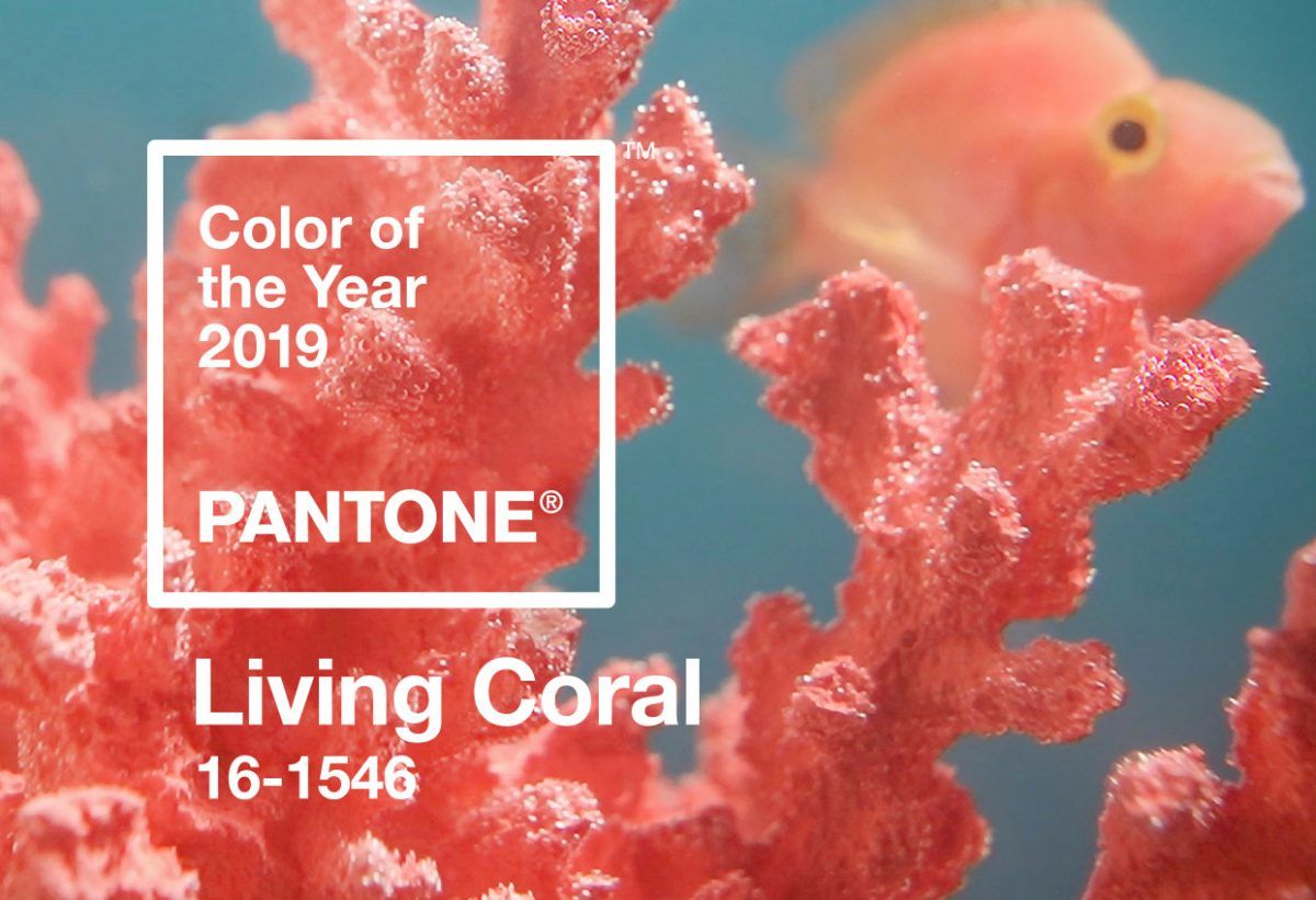Living Coral & Living Life